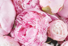 Photo of Вечерний наряд: гламурный и элегантный