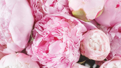 Photo of Вечерний наряд: гламурный и элегантный