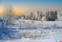 Photo of Зимний образ: пуховик и сапоги