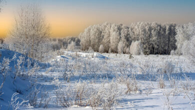 Photo of Зимний образ: пуховик и сапоги